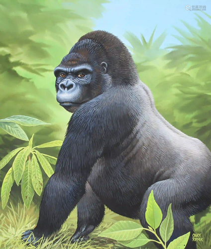 Chuck Ripper (B. 1929) Gorilla Sitting in Grass