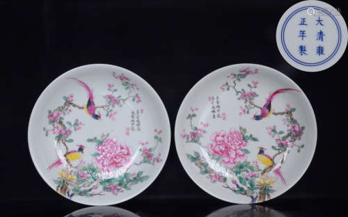 DAQINGYONGZHENGNIANZHI MARK ENAMELED GLAZE PLATE PAIR