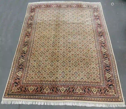 Carpet. India. Around 50 - 80 years old. Herati -