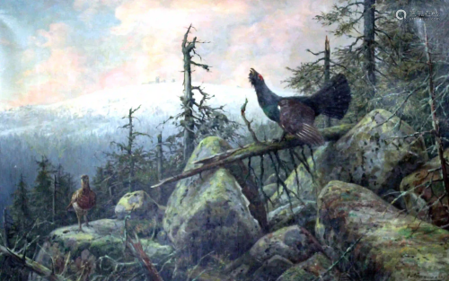 Carl ZIMMERMANN (1863 - 1930). Capercaillie and