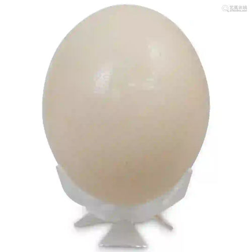 Ostrich Egg