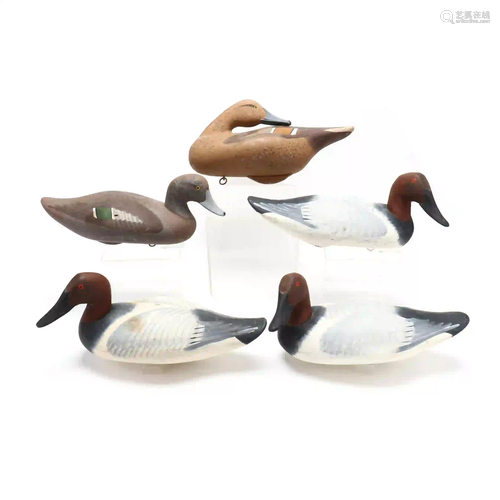 A Group of Five Working Decoys