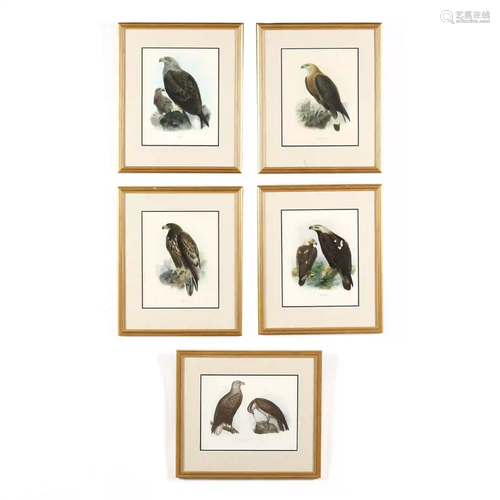 Group of (9) Framed Antique Eagle Lithographs