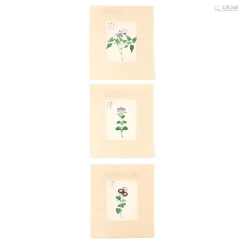 Three Japanese Floral Paintings on Paper