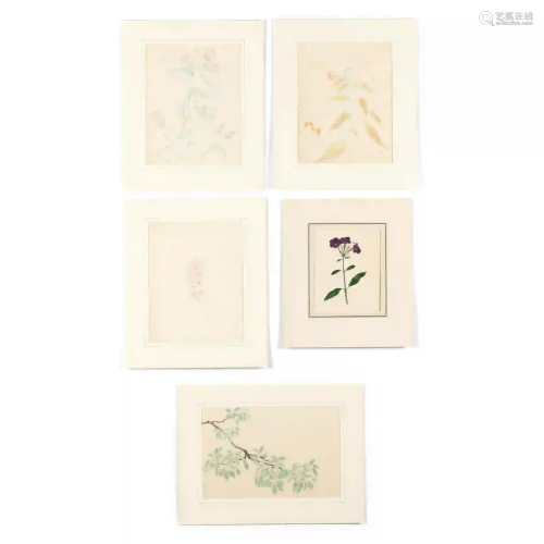 Five Antique Botanical Watercolor Studies on Paper