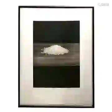 Liset Castillo Rice edXL Photogravure Photograph