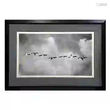 Burt Barr V-Formation gs1418 2004-2005 Photogravure