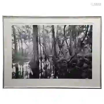 Clyde Butcher Florida Everglades Large Photo ed3