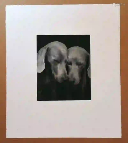 William Wegman Reflectional gs1374 edXLV