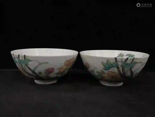 PAIR OF FAMILLE ROSE 'FLOWER AND DRAGONFLY' BOWLS
