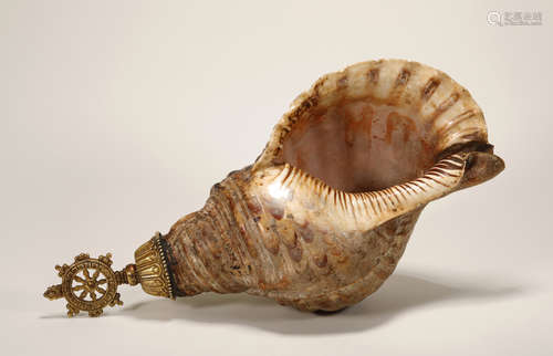 Qing Dynasty - Snail