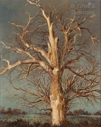 Albert Drachkovitch THOMAS (1928 ?) L’arbre dans …