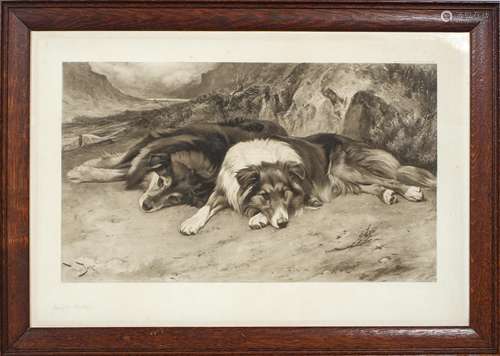 Wright Barker, signed mezzotint, 1896, two recumbent Border collies, framed,