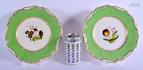 A PAIR OF EARLY 19TH CENTURY DERBY PORCELAIN PLATES painted with flowers under an apple green border