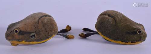 A RARE PAIR OF SCHUCO TIN PLATE WIND UP TOADS with felt backs. 10 cm wide.