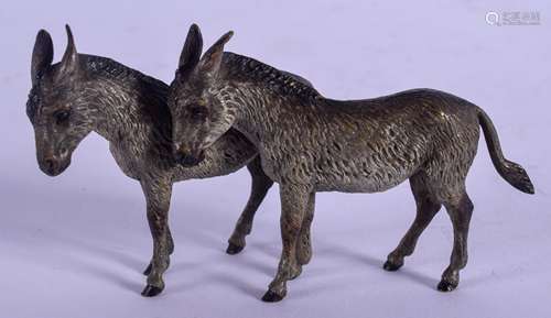 A PAIR OF LATE 19TH CENTURY AUSTRIAN COLD PAINTED BRONZE DONKEYS modelled resting upon each other. 9