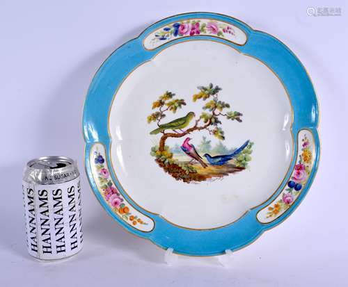 AN 18TH/19TH CENTURY FRENCH SEVRES PORCELAIN CABINET PLATE painted with exotic birds from the 'Ameri