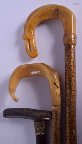 A 19TH CENTURY CONTINENTAL CARVED RHINOCEROS HORN WALKING CANE together with two others. Largest 90