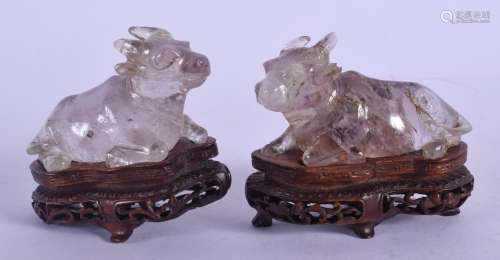A PAIR OF 19TH CENTURY CHINESE CARVED AMETHYST ROCK CRYSTAL BULLOCK Late Qing, upon fitted hardwood