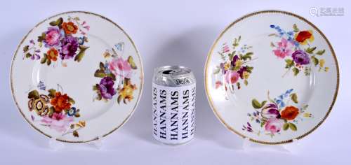 A PAIR OF EARLY 19TH CENTURY DERBY PORCELAIN PLATES painted with botanical sprays. 20 cm diameter.