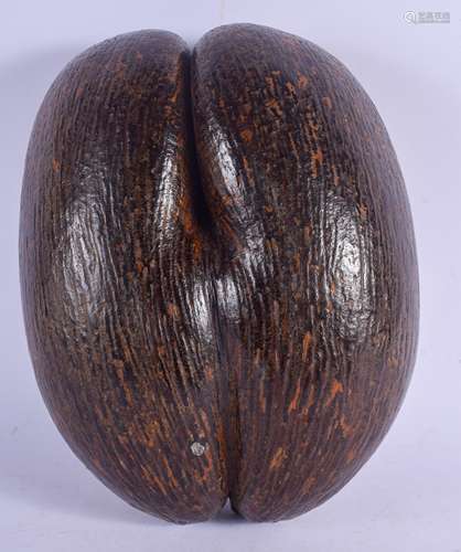 A 19TH CENTURY CONTINENTAL CARVED COCO DE MER NUT of naturalistic form. 32 cm x 20 cm.