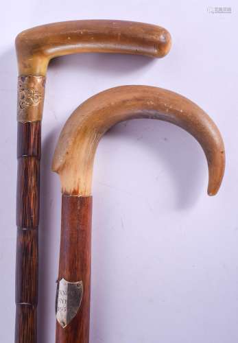 TWO 19TH CENTURY CONTINENTAL CARVED RHINOCEROS HORN HANDLED WALKING CANES. 88 cm long. (2)
