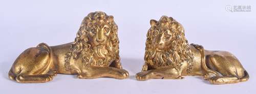 A MAJESTIC PAIR OF 18TH/19TH CENTURY ITALIAN GILT BRONZE LIONS possibly after a model after Antonio