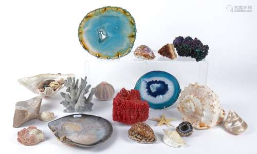 A natural history enthusiast's collection of crystals and marine life, to include an aventurine