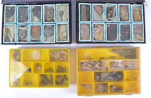 A selection of fossils, including ones of fish and shells, together with a quantity of shells, all