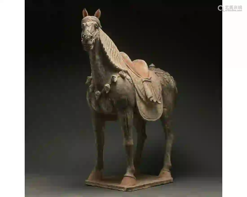 CHINA, HUGE TANG DYNASTY POTTERY HORSE - TL TESTED