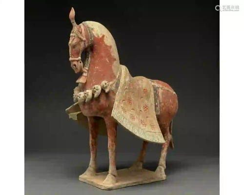 RARE CHINESE NORTHERN WEI DYNASTY POTTERY HORSE- TL