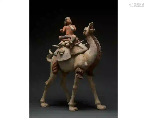 MAGNIFICENT CHINESE TANG DYNASTY BACTRIAN CAMEL - TL
