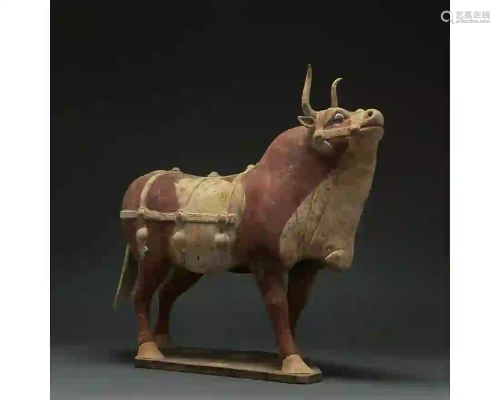 CHINA, TANG DYNASTY POTTERY PAINTED OX - TL TESTED