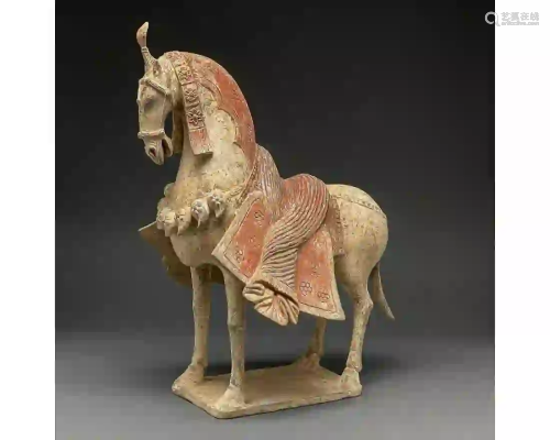 RARE CHINESE NORTHERN WEI DYNASTY POTTERY HORSE- TL