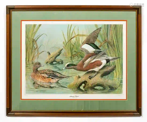 BASIL EDE, AMERICAN WIDGEON DUCKS, SPORTING LITHO