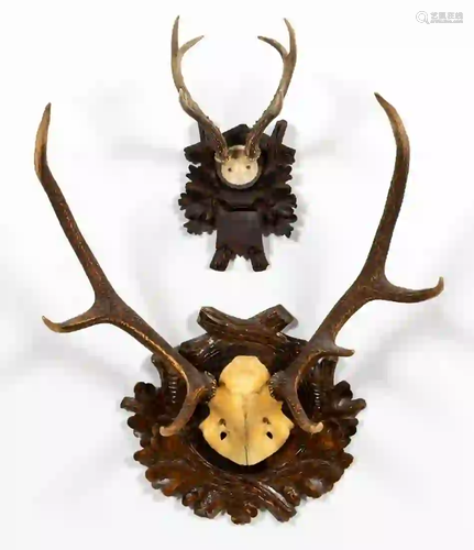 TWO BLACK FOREST CARVED ANTLER MOUNTS