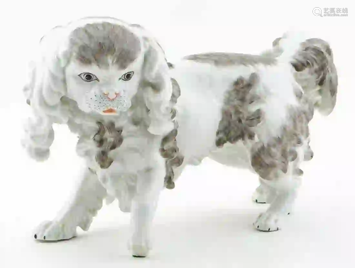 DRESDEN, PEKINGESE PORCELAIN DOG FIGURE