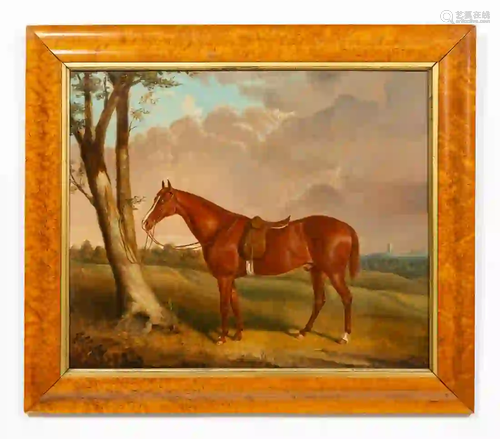 R. CHAPPELL, EQUESTRIAN PORTRAIT, BURLWOOD FRAME