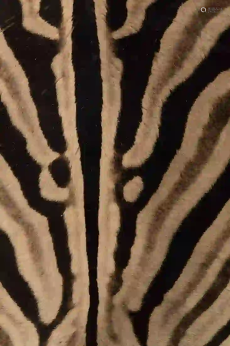 LARGE ZEBRA HIDE RUG, 10' X 7'