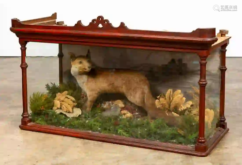 VICTORIAN TAXIDERMY FOX IN WOOD & GLASS DISPLAY