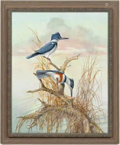 ATHOS MENABONI, KINGFISHER, ORNITHOLOGY, FRAMED