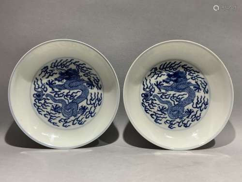 A pair of blue and white dragon pattern plates