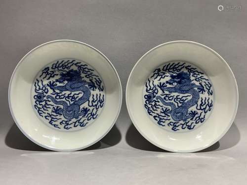 A pair of blue and white dragon pattern plates