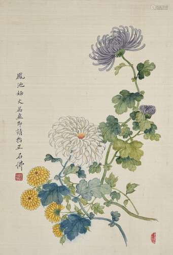 赵浩公 菊花