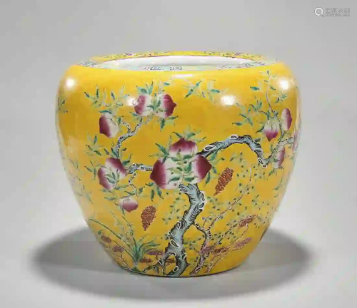 Chinese Enameled Porcelain Water Pot