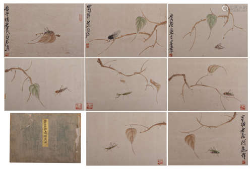 CHINESE ALBUM OF PAINTINGS INSECTS