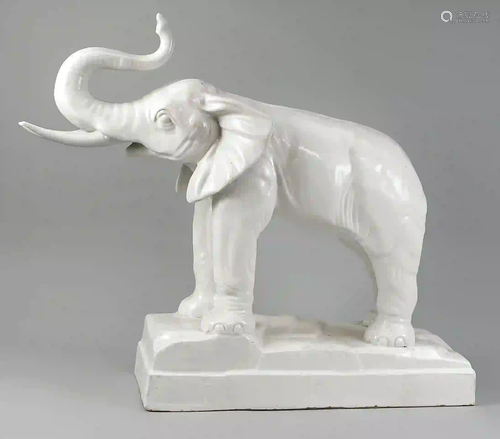 Standing elephant with raised trunk