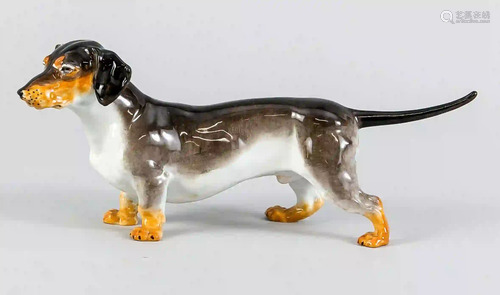 Standing dachshund, Meissen, after