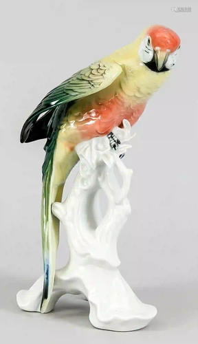 Parrot on branches, green and light