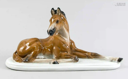 Lying foal, Rosenthal, brand of the